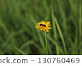 一朵小花，上面有一隻蜜蜂 130760469
