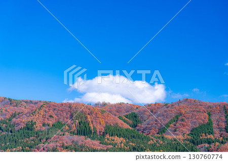 [秋日素材] 深秋白馬村的紅葉和藍天 [長野縣] 130760774