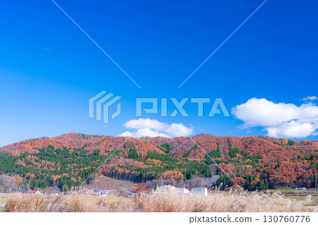 [秋日素材] 深秋白馬村的紅葉和藍天 [長野縣] 130760776