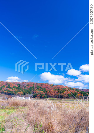[Autumn Material] Autumn leaves and blue skies in Hakuba Village in late autumn [Nagano Prefecture] 130760780