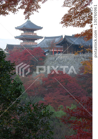 秋日京都 / 清晨透過京都東山的紅葉看到的清水寺三重塔(遠攝變焦拍攝) 秋日京都 / 清晨透過京都東山的紅葉看到的清水寺三重塔(遠攝變焦拍攝) 130760961