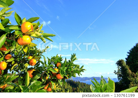 島上的主要景點在藍天映襯下熠熠生輝 130761199