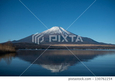 [Yamanashi Prefecture] Mt. Fuji seen from Lake Yamanaka 130762254