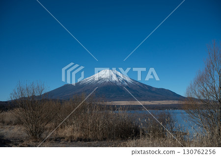 [山梨縣]從山中湖看富士山 130762256