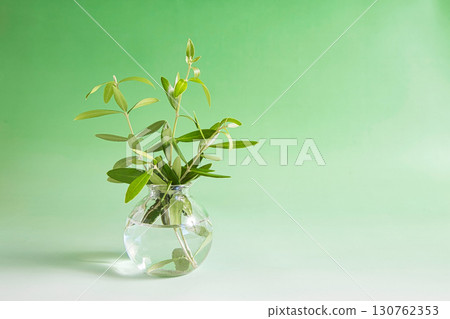 花瓶裡的藥草 花瓶裡的藥草 130762353
