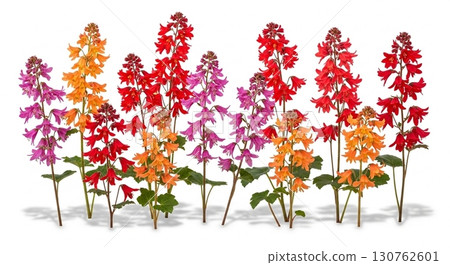 Vibrant Coral Bells Flowers in Full Bloom 130762601