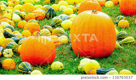 萬聖節派對上有很多鬧鬼的南瓜 萬聖節派對上有很多鬧鬼的南瓜 130763037