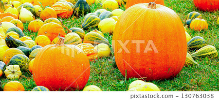 萬聖節派對上有很多鬧鬼的南瓜 130763038