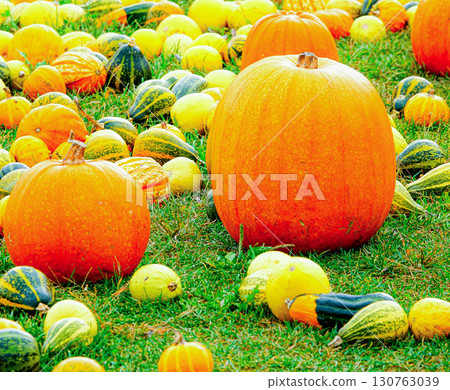 萬聖節派對上有很多鬧鬼的南瓜 萬聖節派對上有很多鬧鬼的南瓜 130763039