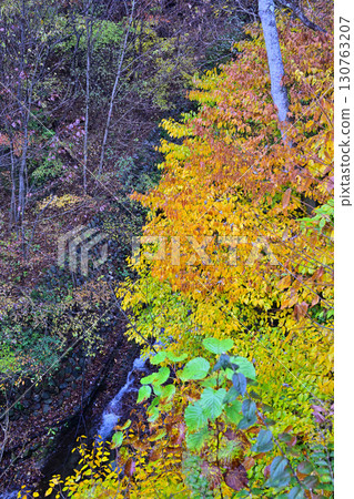 春名神社第二鳥居附近的秋葉 130763207