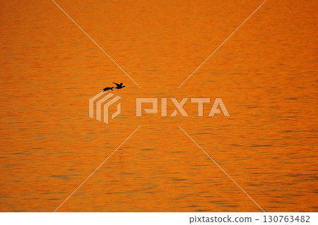 荒尾市有明海岸元旦黃昏 130763482