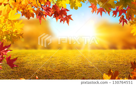 orange fall leaves in forest, autumn natural field background with blurred bokeh and sun rays 130764551