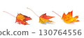 autumn maple leaves isolated on white background 130764556