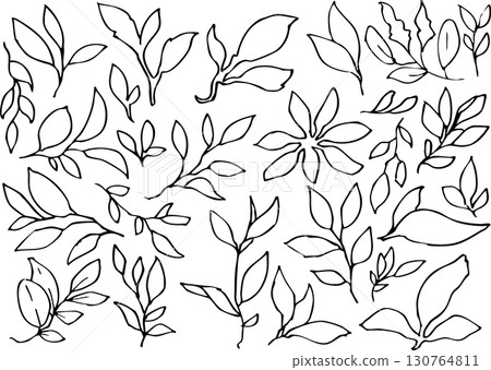 Leaf, simple line drawing illustration of tree leaves, vector Leaf, simple line drawing illustration of tree leaves, vector 130764811