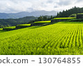 Sakamoto Rice Terraces, Nichinan City, Miyazaki Prefecture 130764855