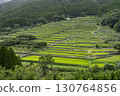Sakamoto Rice Terraces, Nichinan City, Miyazaki Prefecture 130764856