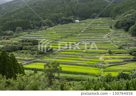 宮崎縣日南坂本梯田 宮崎縣日南坂本梯田 130764856