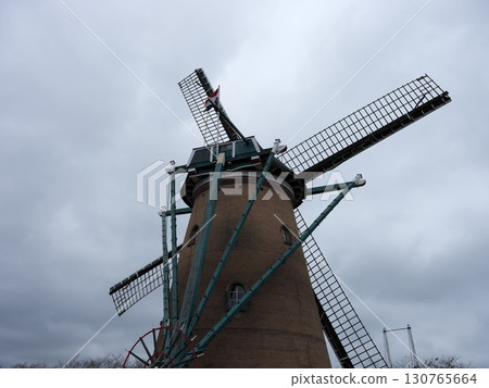 Walking around Sakura 130765664