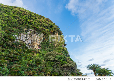 坐落在都井岬懸崖上的御前神社,周圍綠樹成蔭 坐落在都井岬懸崖上的御前神社,周圍綠樹成蔭 130766407