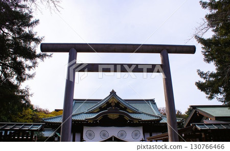 靖國神社：靖國神社的大鳥居和正殿 130766466
