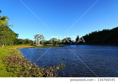 <千葉縣> 大百池公園(千葉市綠區) <千葉縣> 大百池公園(千葉市綠區) 130766545