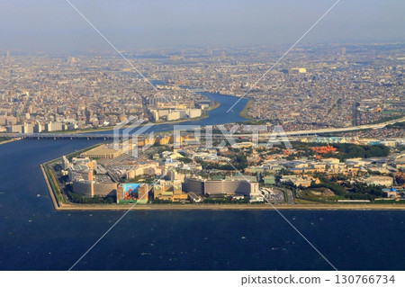 Tokyo Disneyland (aerial photography) 130766734