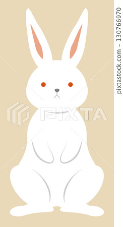 Frontal rabbit 130766970