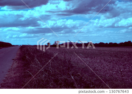 rural road in the steppe 130767643