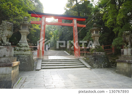 The approach to Kasuga Taisha Shrine, a World Heritage Site in Nara Prefecture The approach to Kasuga Taisha Shrine, a World Heritage Site in Nara Prefecture 130767893