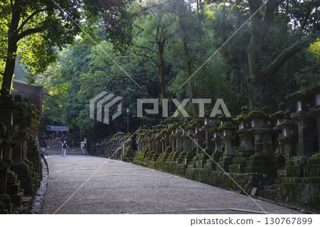 奈良縣世界遺產春日大社的參拜道路 130767899