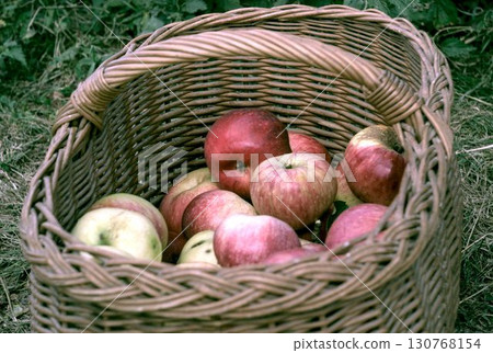 basket with apples 130768154