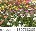 Porchula花園 130768285