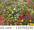Porchula花園 130768290