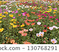 Porchula花園 130768291