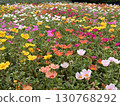 Porchula花園 130768292