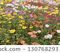 Porchula花園 130768293
