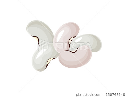 White kidney beans stock illustration 130768648