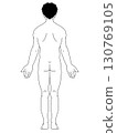 Anatomical upright position, male, back, line drawing, with hair 130769105