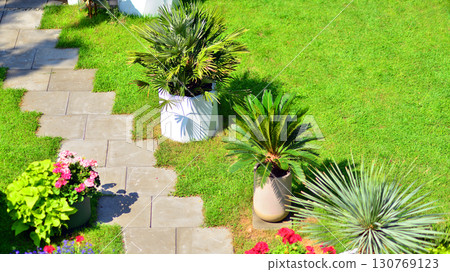 Tropicals plant at a luxury european garden. Tropicals plant at a luxury european garden. 130769123