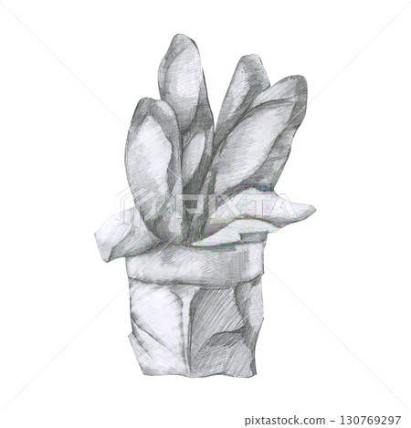 Bakery graphics hand drawn illustration. Pencil baguette clipart in package, fresh bread painting, black and white line art for shop label,logo, packing design 130769297