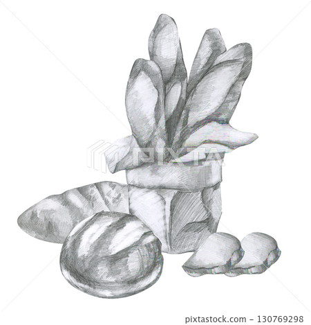 Fresh bread pencil illustration. Hand drawn bakery product painting, baguette sticks,loaf and slices clipart. Pastry black and white silhouette for for bake product label,logo design 130769298