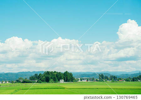Summer blue sky and rice fields, rural scenery, cumulonimbus clouds Summer blue sky and rice fields, rural scenery, cumulonimbus clouds 130769465
