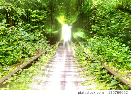 Railroad leading to rays of bright light among the trees 130769632