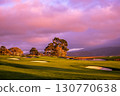 Pebble Beach golf course, Monterey, California, usa 130770638