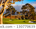 Pebble Beach golf course, Monterey, California, usa 130770639