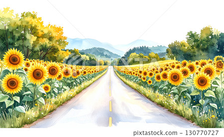 sunflower 130770727