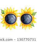 sunflower 130770731