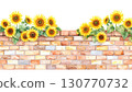 sunflower 130770732