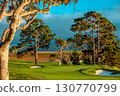 Pebble Beach golf course, Monterey, California, usa 130770799