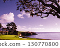 Pebble Beach golf course, Monterey, California, usa 130770800
